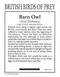 1996 Victoria Gallery British Birds of Prey Series 1 #4 Barn Owl Back