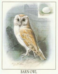 1996 Victoria Gallery British Birds of Prey Series 1 #4 Barn Owl Front