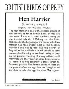 1996 Victoria Gallery British Birds of Prey Series 1 #5 Hen Harrier Back