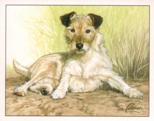 1999 Imperial Dog Collection Jack Russell Terriers #3 Jack Russell Terriers Front