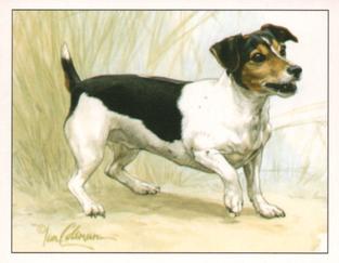 1999 Imperial Dog Collection Jack Russell Terriers #5 Jack Russell Terriers Front