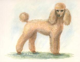 1999 Imperial Dog Collection Poodles #2 Poodles Front