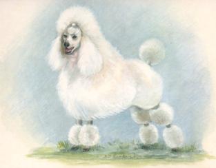 1999 Imperial Dog Collection Poodles #6 Poodles Front