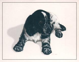 1999 Imperial Dog Collection Cocker Spaniels #3 Cocker Spaniels Front