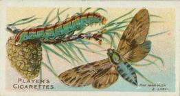 1904 Player's Butterflies & Moths #3 Pine Hawk-Moth Front