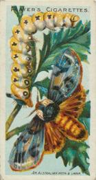 1904 Player's Butterflies & Moths #4 An Australian Moth Front