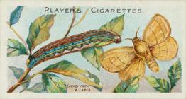 1904 Player's Butterflies & Moths #5 Lackey Moth Front