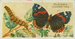 1904 Player's Butterflies & Moths #13 Red Admiral Front