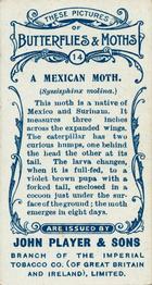 1904 Player's Butterflies & Moths #14 A Mexican Moth Back