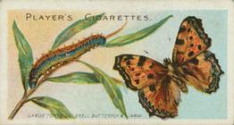 1904 Player's Butterflies & Moths #17 Large Tortoise-shell Front