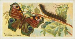 1904 Player's Butterflies & Moths #22 Peacock Butterfly Front