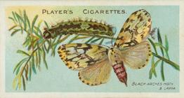 1904 Player's Butterflies & Moths #27 Black Arches Moth Front