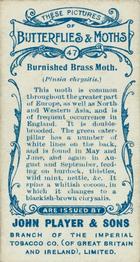 1904 Player's Butterflies & Moths #47 Burnished Brass Moth Back