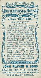 1904 Player's Butterflies & Moths #49 Jersey Tiger Moth Back