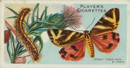 1904 Player's Butterflies & Moths #49 Jersey Tiger Moth Front