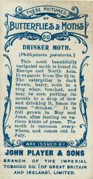 1904 Player's Butterflies & Moths #50 Drinker Moth Back