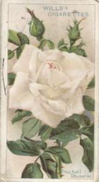 1912 Wills's Roses #7 Frau Karl Druschki Front