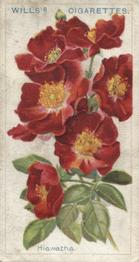 1912 Wills's Roses #31 Hiawatha Front
