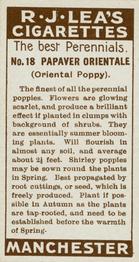 1913 R.J. Lea's Flowers to Grow The Best Perennials #18 Papaver orientale Back