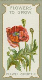 1913 R.J. Lea's Flowers to Grow The Best Perennials #18 Papaver orientale Front