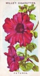 1913 Wills's Old English Garden Flowers 2nd series #12 Petunia Front