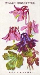 1913 Wills's Old English Garden Flowers 2nd series #18 Columbine Front