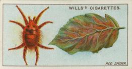 1914 Wills's Garden Life #4 Red Spider Front
