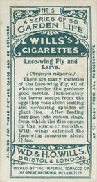 1914 Wills's Garden Life #5 Lace-wing Fly and Larva Back