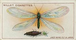 1914 Wills's Garden Life #5 Lace-wing Fly and Larva Front