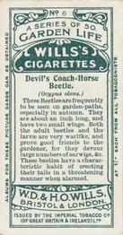 1914 Wills's Garden Life #6 Devil's Coach-Horse Beetle Back