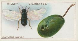 1914 Wills's Garden Life #17 Plum Fruit Saw-fly Front