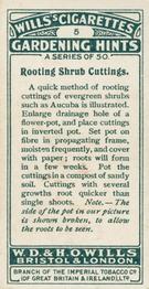 1923 Wills's Gardening Hints #5 Rooting Shrub Cuttings Back