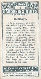 1923 Wills's Gardening Hints #6 Cuttings Back