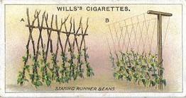 1923 Wills's Gardening Hints #7 Staking Runner Beans Front