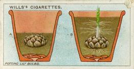 1923 Wills's Gardening Hints #8 Potting Lily Bulbs Front
