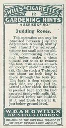 1923 Wills's Gardening Hints #12 Budding Roses Back