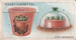 1923 Wills's Gardening Hints #14 Simple Propagators Front