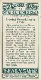 1923 Wills's Gardening Hints #16 Growing Water-Lilies in a Tub Back