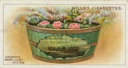 1923 Wills's Gardening Hints #16 Growing Water-Lilies in a Tub Front