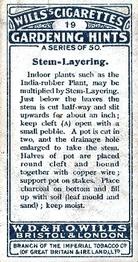 1923 Wills's Gardening Hints #19 Stem-Layering Back