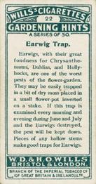 1923 Wills's Gardening Hints #22 Earwig Trap Back