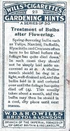 1923 Wills's Gardening Hints #23 Treatment of Bulbs after Flowering Back