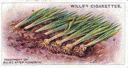 1923 Wills's Gardening Hints #23 Treatment of Bulbs after Flowering Front