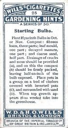 1923 Wills's Gardening Hints #25 Starting Bulbs Back
