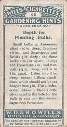 1923 Wills's Gardening Hints #26 Depth for Planting Bulbs Back