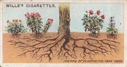 1923 Wills's Gardening Hints #31 Mistake of Planting too near Trees Front