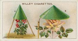 1923 Wills's Gardening Hints #34 Protecting Blooms Front