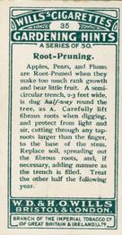 1923 Wills's Gardening Hints #35 Root-Pruning Back