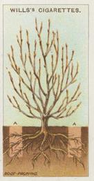 1923 Wills's Gardening Hints #35 Root-Pruning Front