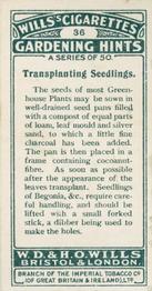 1923 Wills's Gardening Hints #36 Transplanting Seedlings Back
